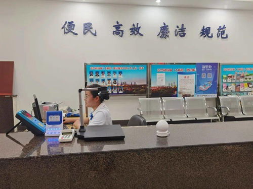 嘉興科技城大橋鎮便民服務中心啟用“一窗受理、全域通辦”公用事業服務窗口